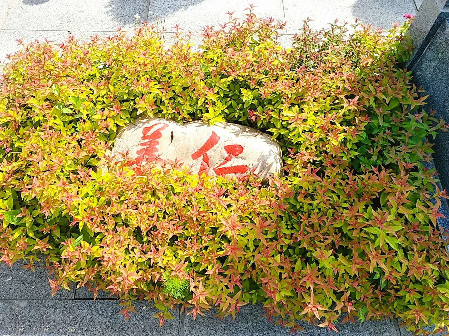 墓地價(jià)格惠民的撫順墓地園區(qū)景觀