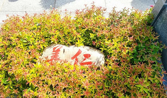 撫順墓園歸納喪事禮儀 撫順墓園歸納喪事禮儀