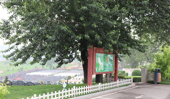 撫順墓園公益葬 撫順墓園公益葬