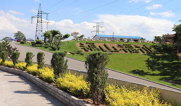 沈陽墓園殯葬發(fā)展 沈陽墓園殯葬發(fā)展