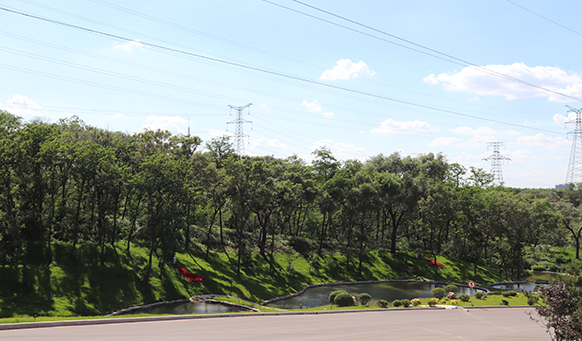 撫順墓園死亡哲學 撫順墓園死亡哲學