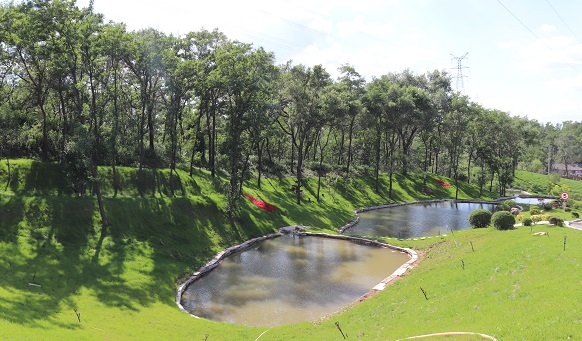 撫順公墓美景 撫順公墓美景