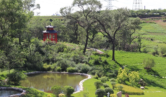 撫順墓園實(shí)景 撫順墓園實(shí)景