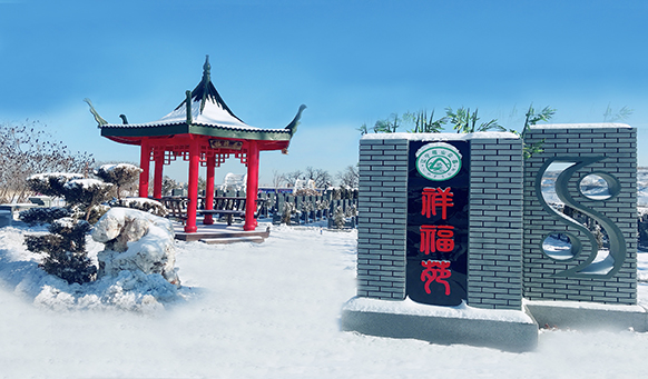 撫順墓園實(shí)景 撫順墓園實(shí)景