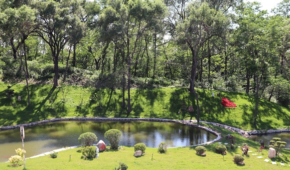 撫順墓園實(shí)景 撫順墓園實(shí)景