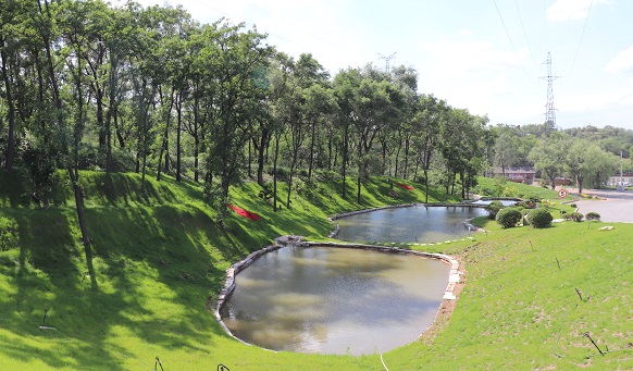 沈陽墓園實景 沈陽墓園實景