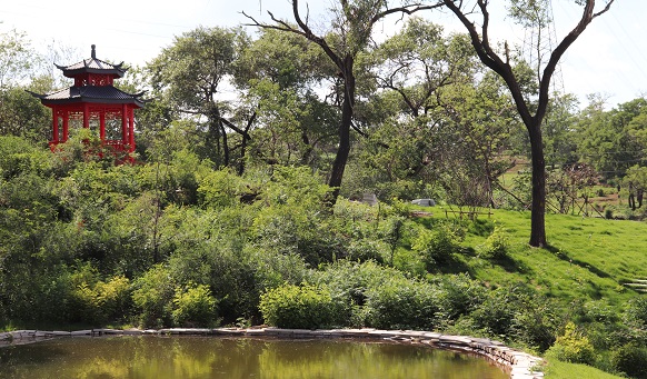撫順公墓實景 撫順公墓實景