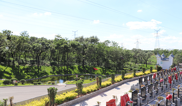 撫順墓地實景 撫順墓地實景
