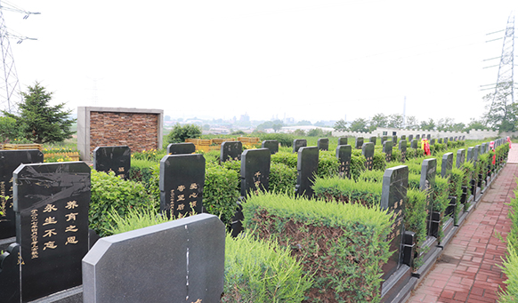撫順公墓實(shí)景