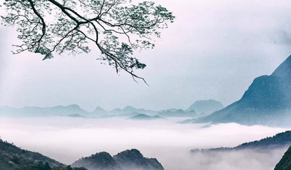 解答殯葬與公墓管理政策---下 