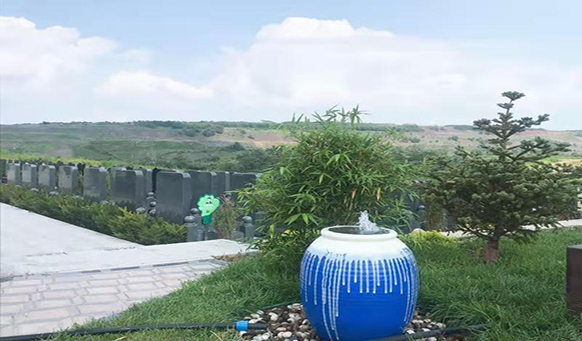 沈陽墓園樹木有什么說法？