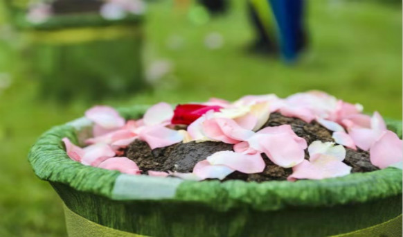 沈陽墓園實景 沈陽墓園實景