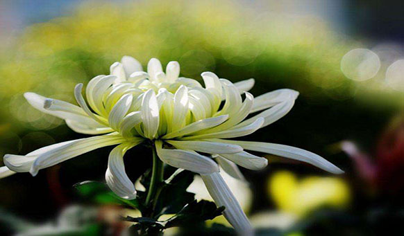 沈陽墓園實景 沈陽墓園實景