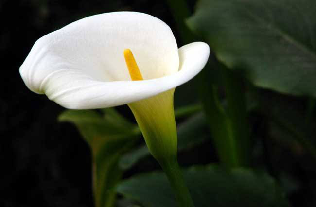 官方直營熱線024-58179666 官方直營熱線024-58179666