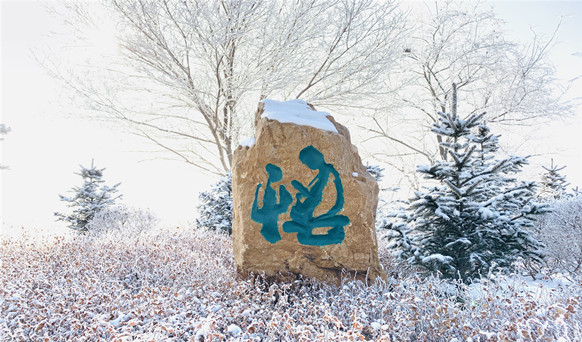 撫順墓園實景 撫順墓園實景