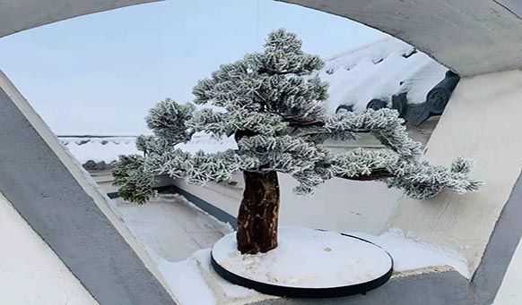 沈陽墓園實(shí)景