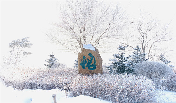 撫順墓園實(shí)景