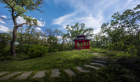 沈陽墓園實景 沈陽墓園實景