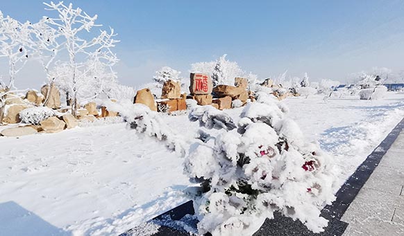 沈陽(yáng)墓園實(shí)景