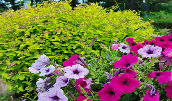 沈陽墓園實景 沈陽墓園實景
