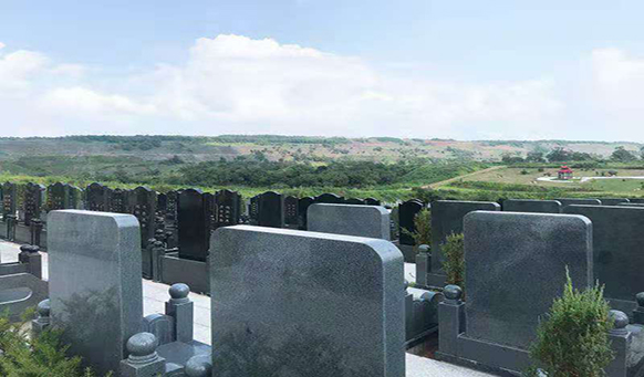 沈陽墓園實景 沈陽墓園實景