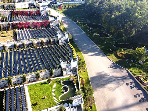 沈陽墓地實(shí)景 沈陽墓地實(shí)景