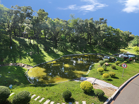 墓園中掃墓禁忌(四) 墓園中掃墓禁忌(四)