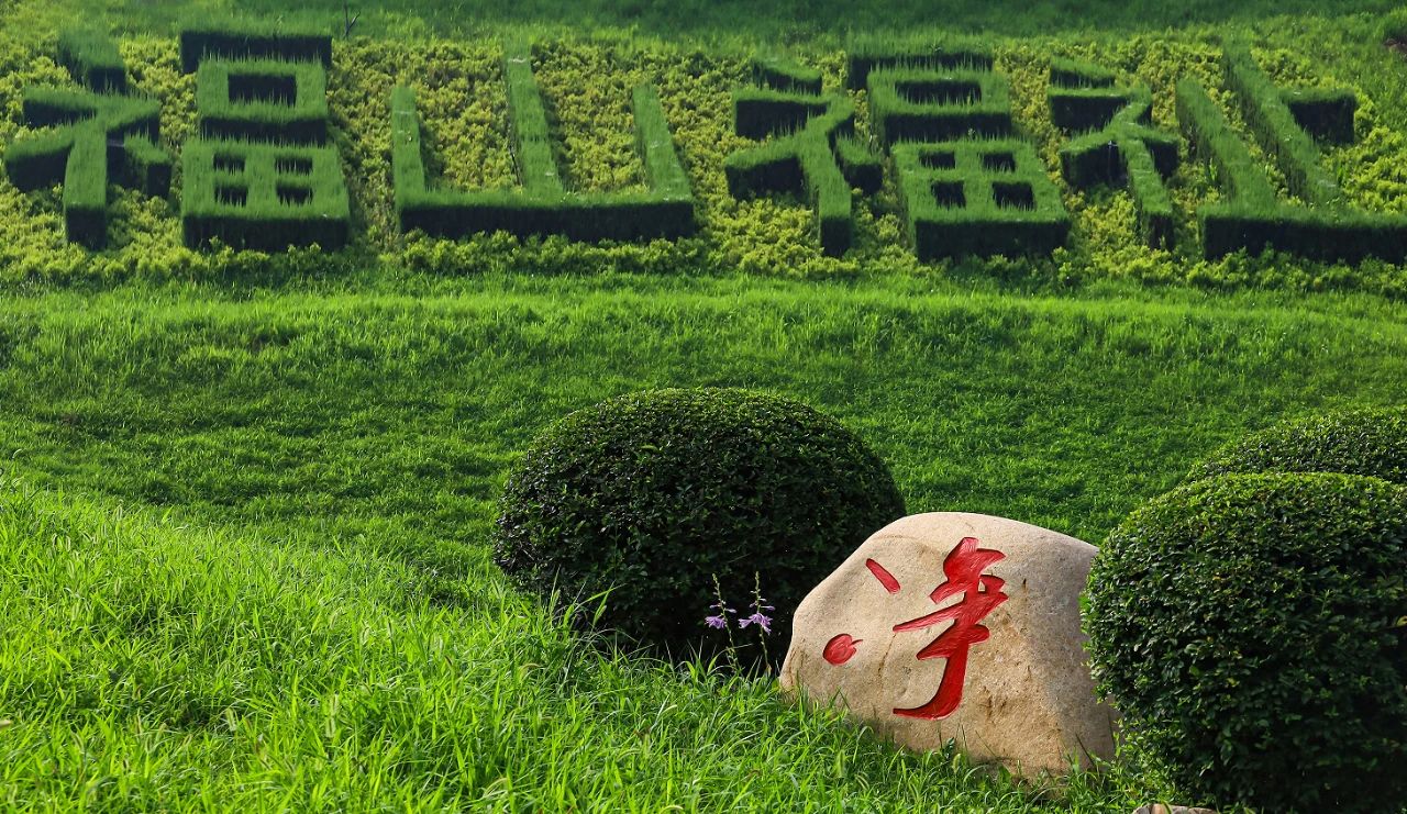 官方直營熱線024-58179666