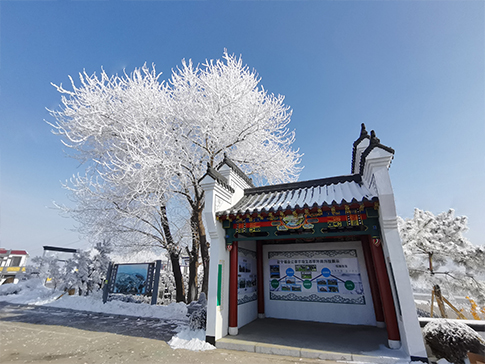 清明祭祀怎么來的呢？