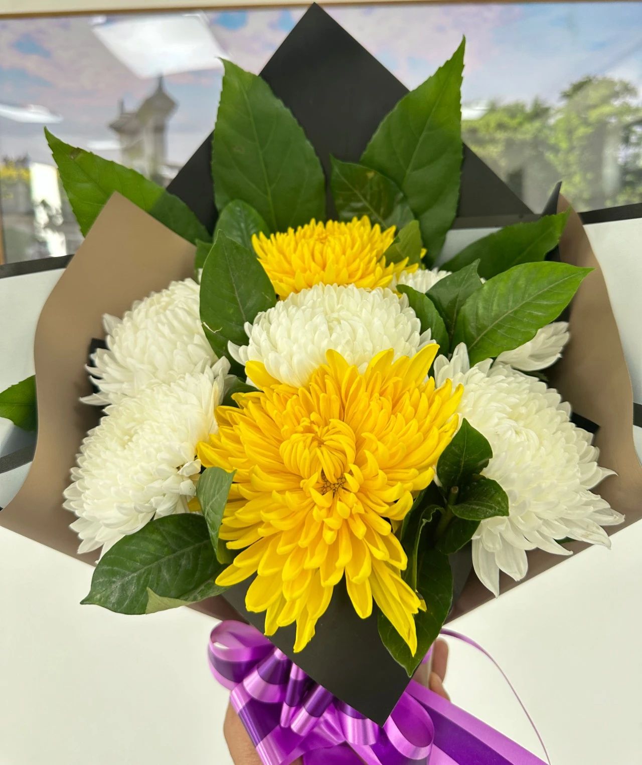 官方直營熱線024-58179666