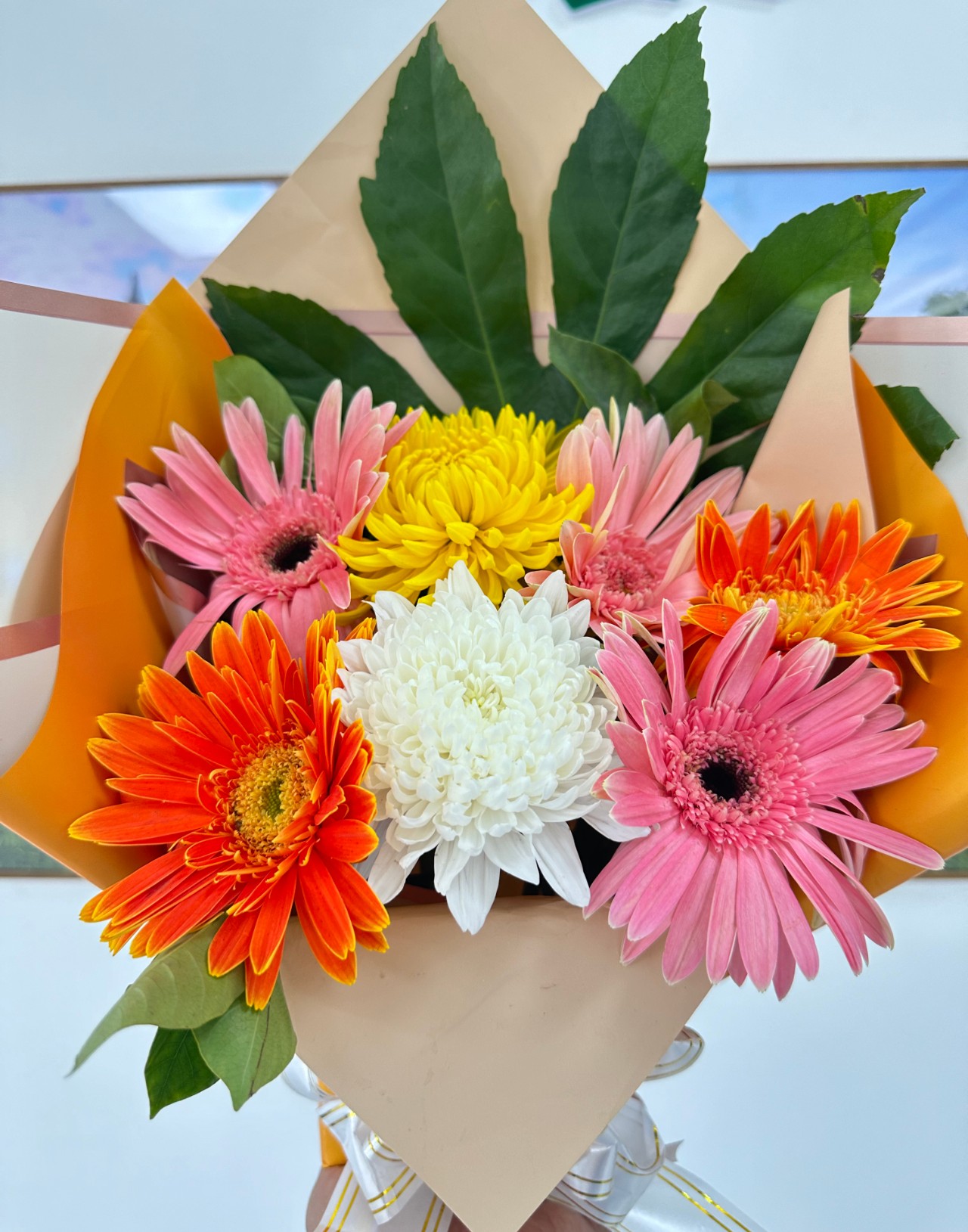 官方直營熱線024-58179666