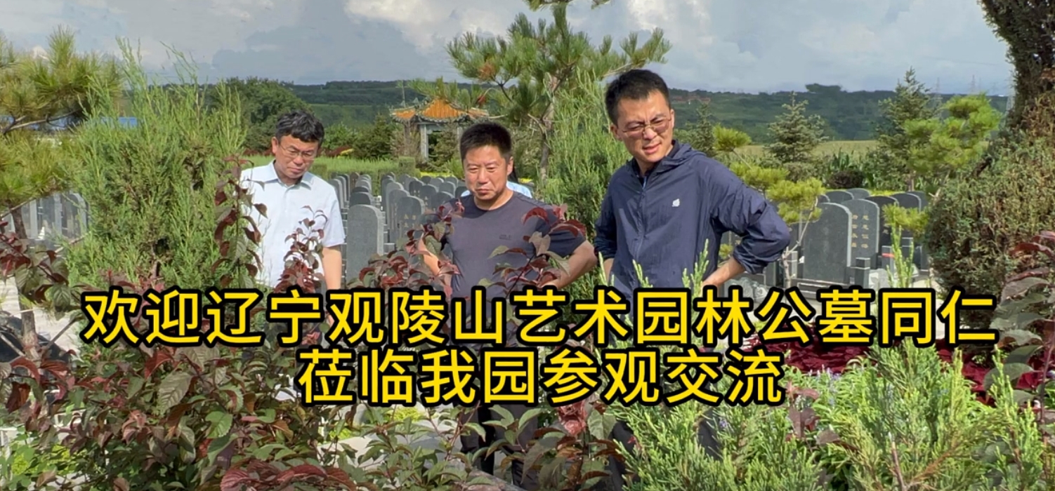 官方直營(yíng)熱線024-58179666