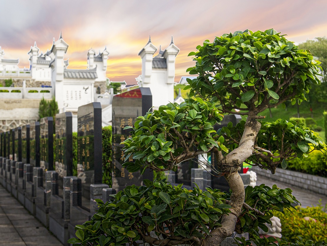 沈陽福山墓園實景 沈陽福山墓園實景