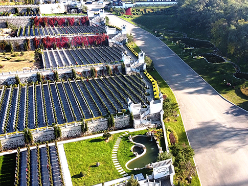 墓地一定要坐北朝南嗎？