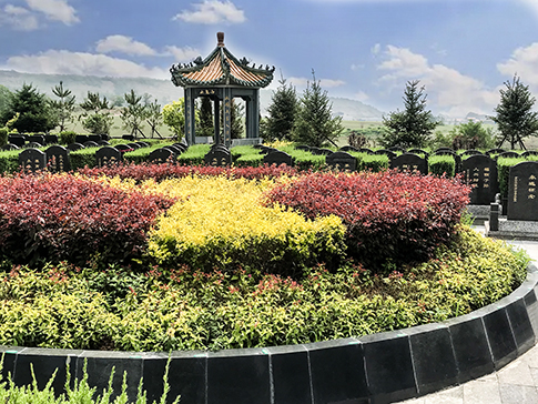 探索生態(tài)葬，開啟綠色生命之旅