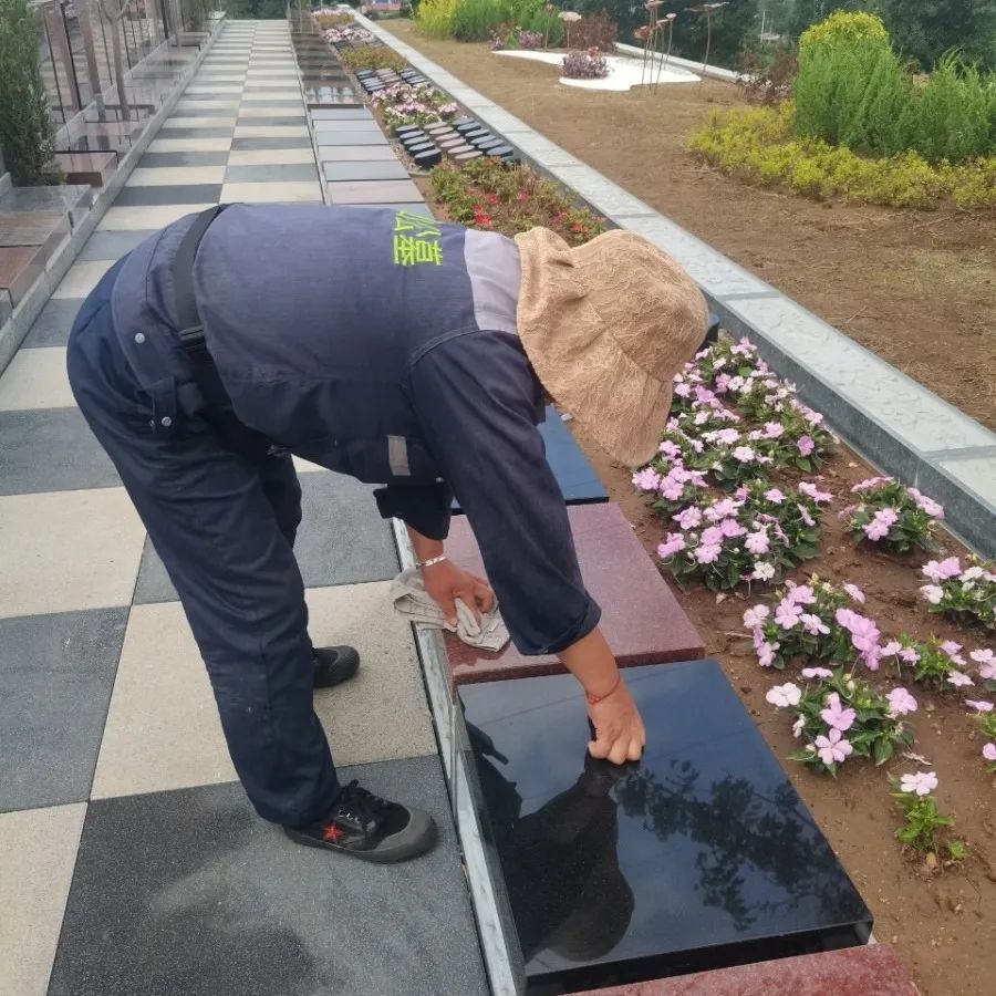 松柏長青，銘刻不朽的勞動之美