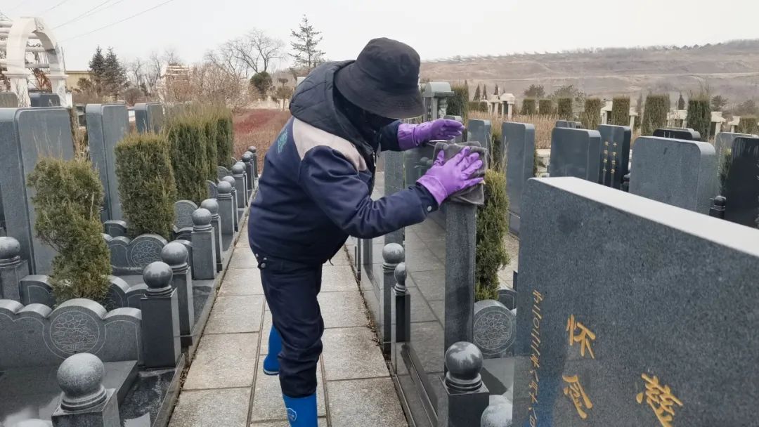 松柏長青，銘刻不朽的勞動之美