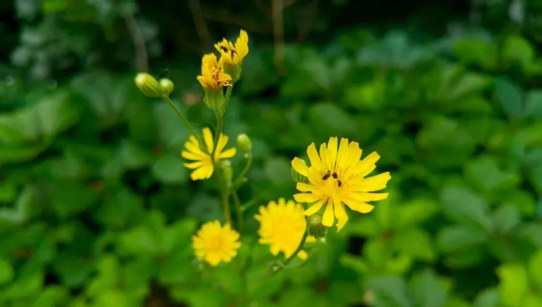 30強(qiáng)產(chǎn)生，距離5000元大獎又近一步！