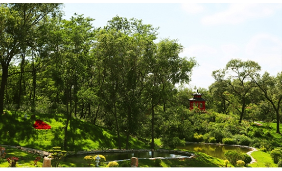 殯葬文化起源與發(fā)展