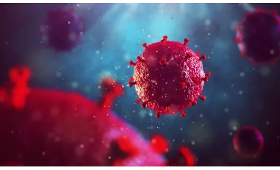 山東大學(xué)發(fā)現(xiàn)：新冠病毒能在產(chǎn)生特異性抗體的患者體內(nèi)長(zhǎng)期存在