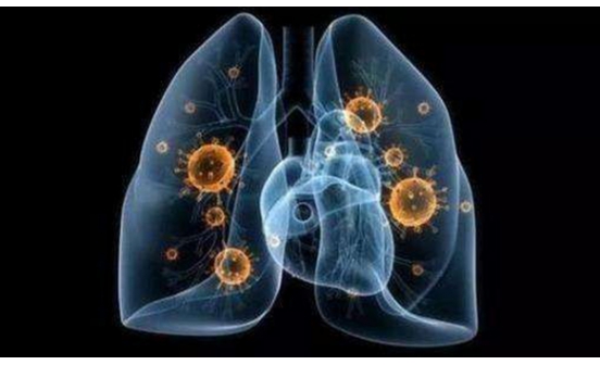 最新！撫順市新增確診病例行程軌跡公布！