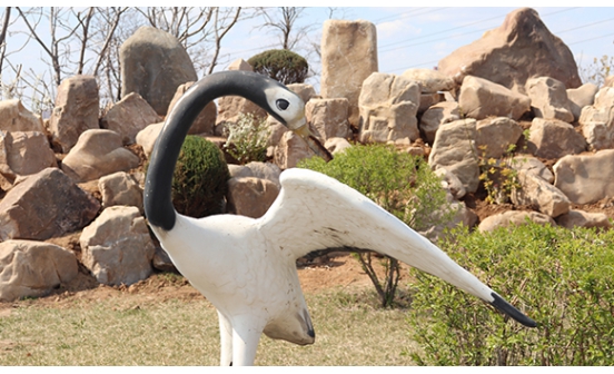 【殯葬常識(shí)】購(gòu)買(mǎi)墓地需要帶哪些憑證和資料