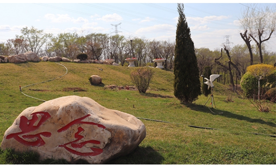 預(yù)約選墓的好處