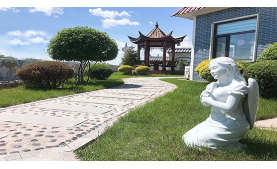 撫順墓園中常見的安葬日期