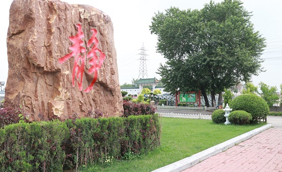 撫順墓地學(xué)習(xí)死亡哲學(xué)