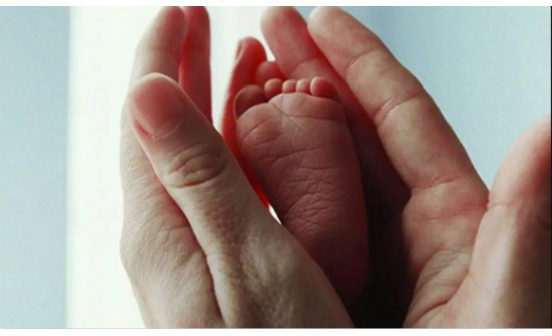 生與死沈陽墓地給您解讀