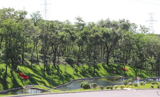 沈陽(yáng)墓地實(shí)景