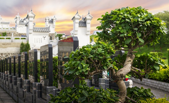 撫順公墓實(shí)景