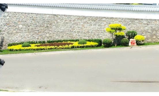 沈陽公墓實(shí)景