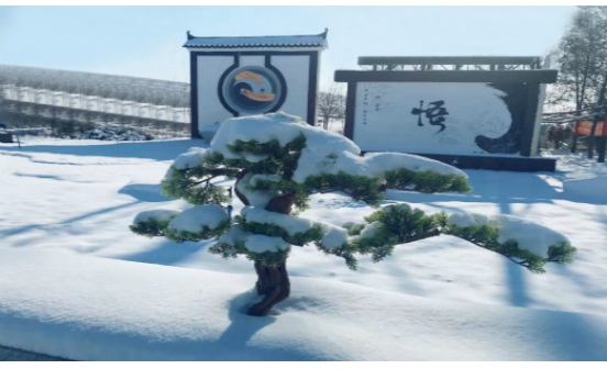 沈陽墓園實景圖